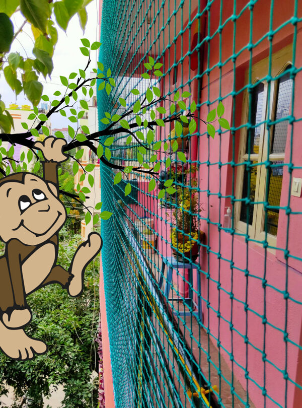 Monkey Safety Nets in Odisha