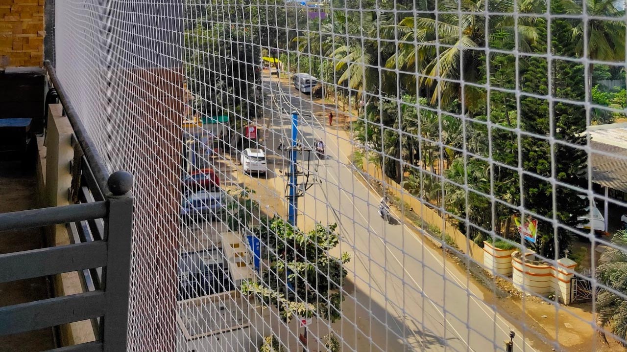 Pigeon Nets for Windows